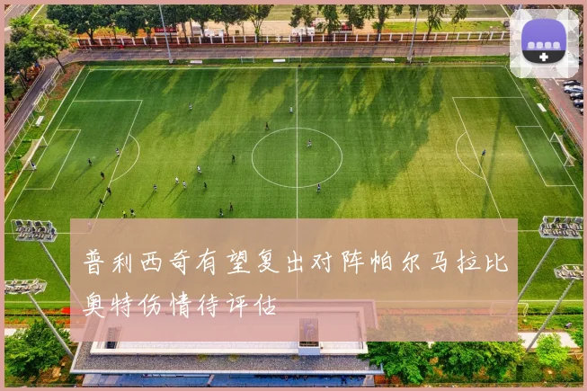 普利西奇有望复出对阵帕尔马拉比奥特伤情待评估
